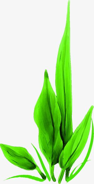 清新春天路边小草装饰免抠