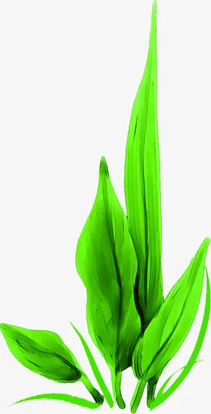 清新春天路边小草装饰免抠