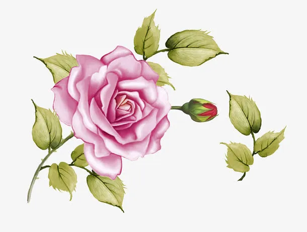 手绘花免抠