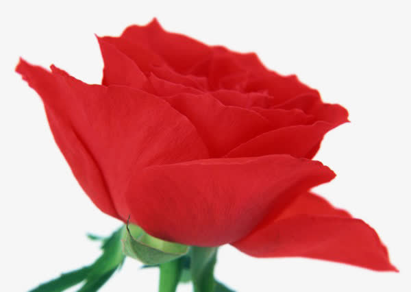 花免抠