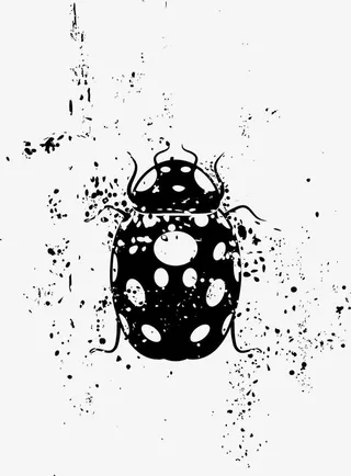 矢量手绘瓢虫免抠