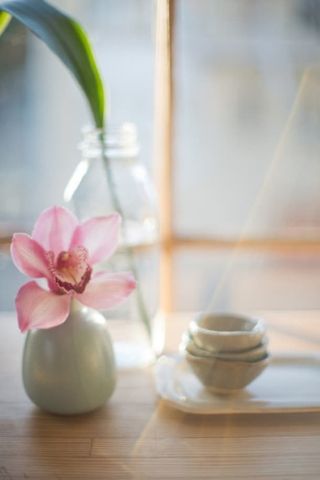 粉色鲜花晕光摄影免抠