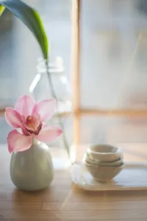 粉色鲜花晕光摄影免抠 粉色鲜花晕光摄影免抠