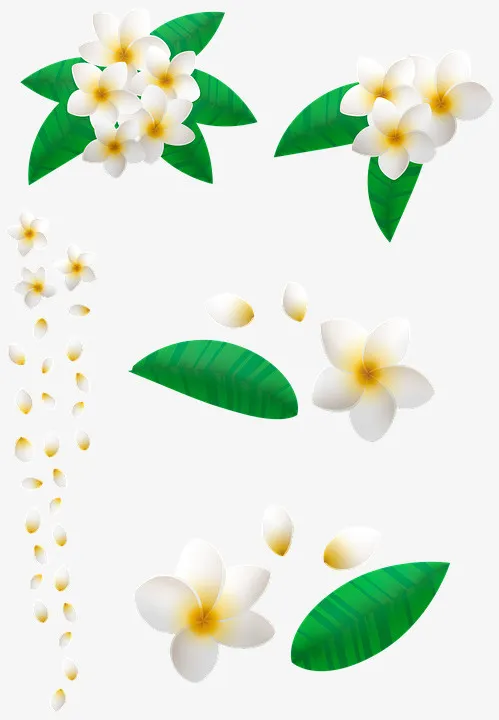 带花瓣的绿叶小花免抠