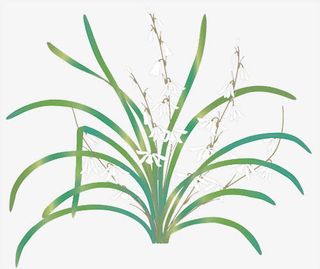 淘宝 天猫 设计 男装 女装免抠