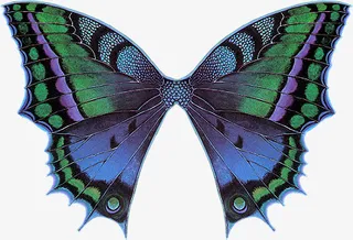 装饰图案装饰图案psd免抠