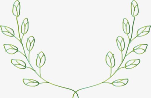简约春季绿叶框架免抠