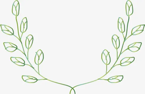 简约春季绿叶框架免抠