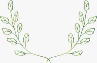 简约春季绿叶框架免抠