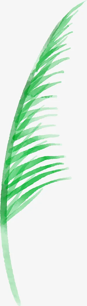 棕榈叶叶子矢量图免抠