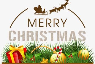 圣诞节植物礼物免抠