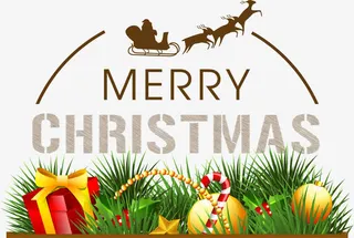 圣诞节植物礼物免抠