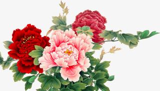 花开富贵花朵设计免抠