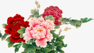 花开富贵花朵设计免抠