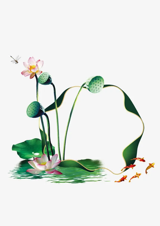 荷花荷叶免抠