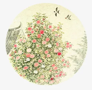 手绘山茶花树枝免抠