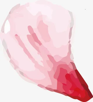 手绘花瓣PNG下载免抠