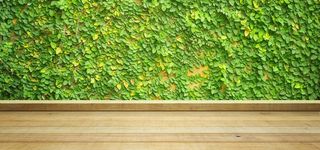 小清新背景高清