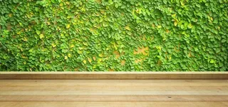 小清新背景高清