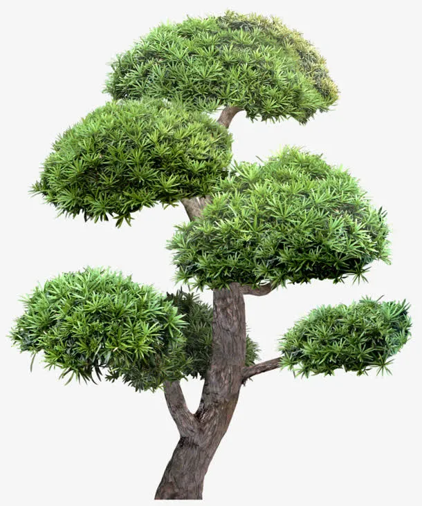 绿树免抠