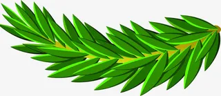 手绘绿色树枝绿叶+免抠