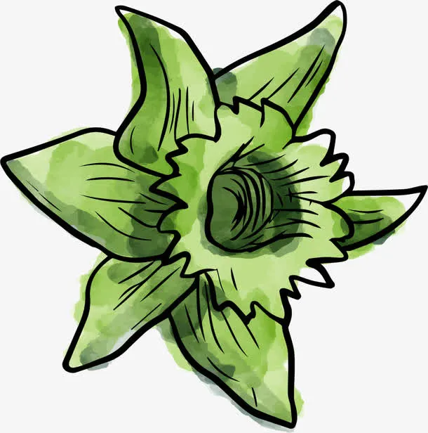 手绘水彩花卉免抠