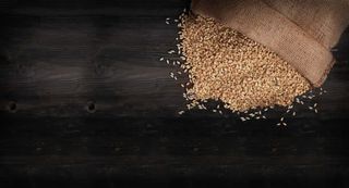 正面稻谷麻袋地面摄影免抠