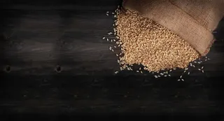 正面稻谷麻袋地面摄影免抠