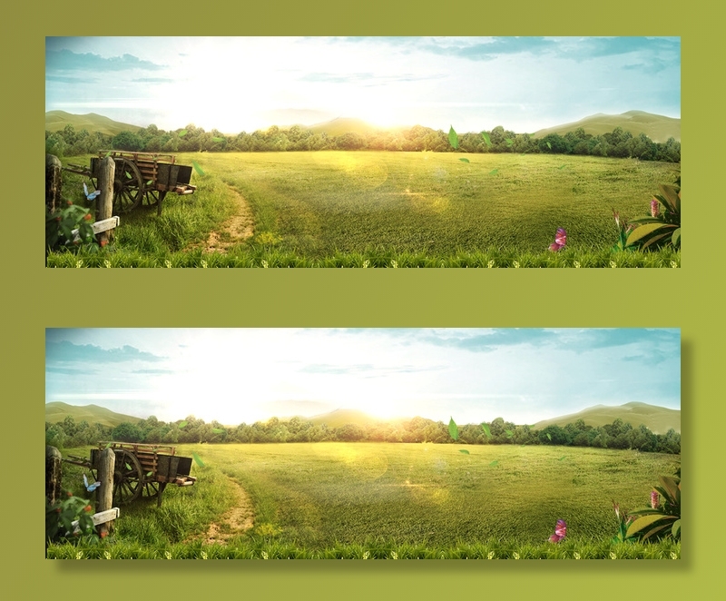 青青的草原蓝天高清