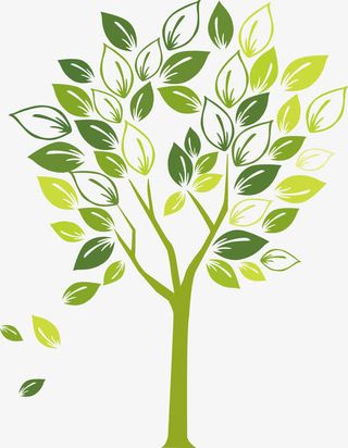 树木树叶免抠