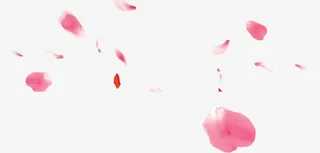 漂浮花瓣免抠