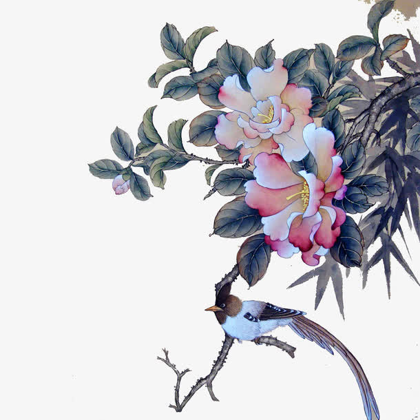 花鸟图免抠