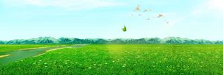 树林山脉清新草坪背景banner