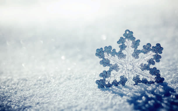 雪地上的蓝色透明雪花海报背景
