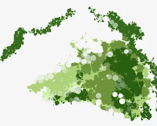 无规则绿色装饰图免抠