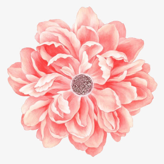 手绘花朵免抠