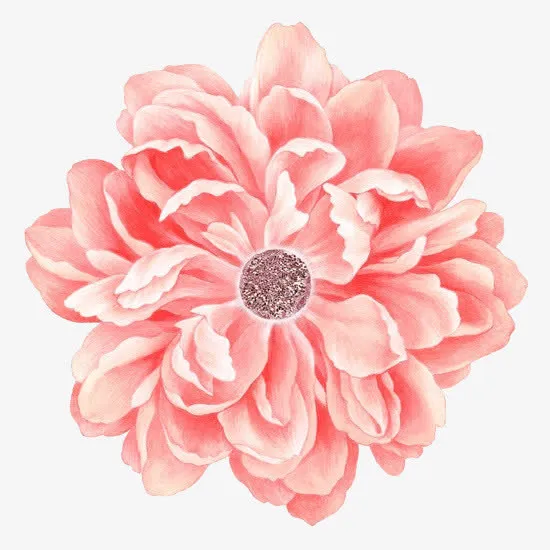 手绘花朵免抠