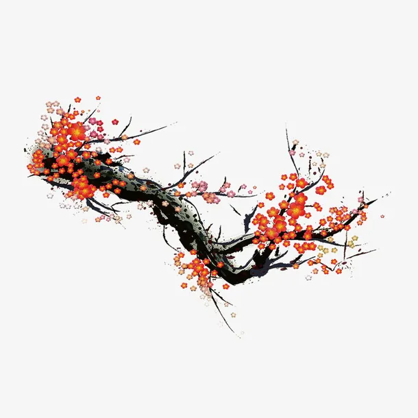 中国风水彩红梅插画免抠