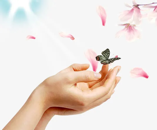 手捧桃花蝴蝶免抠