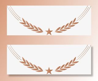 星星*标志麦穗免抠