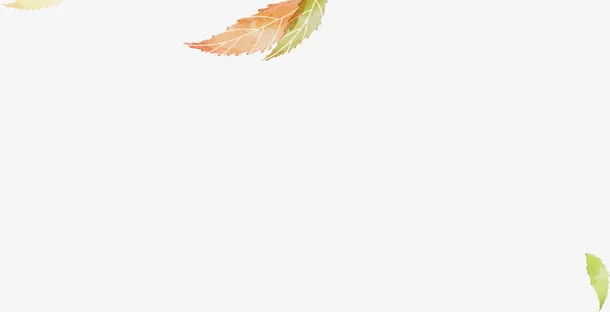 漂浮的树叶免抠