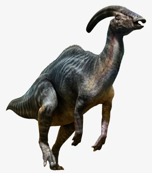 副栉龙属灭绝生物实物免抠