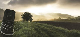 篱笆与阳光高清