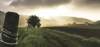 篱笆与阳光高清