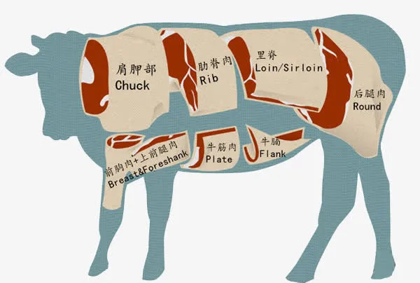 牛肉结构免抠