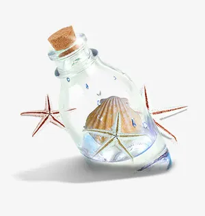 贝壳样式许愿漂流瓶免抠