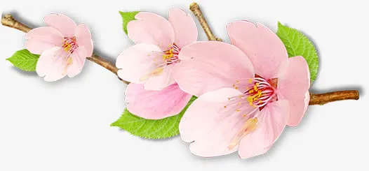 春天粉色古风桃花装饰免抠