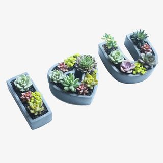 创意植物组合免抠