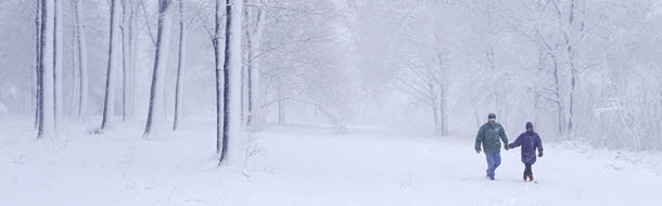 雪地免抠