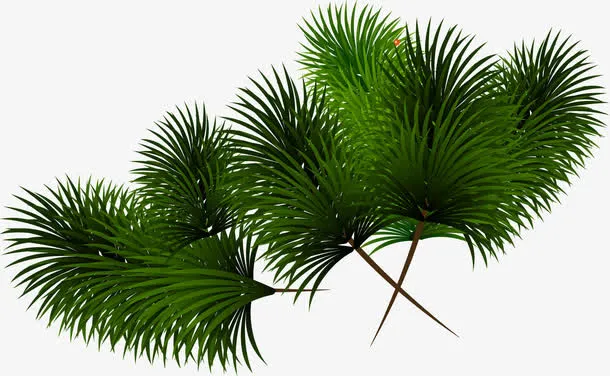 圣诞卡通树枝装饰免抠